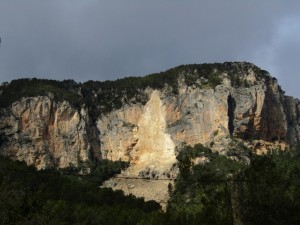 IMG_4508 (Medium)